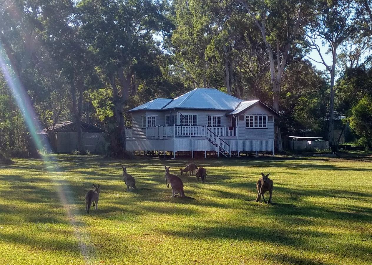  Accommodation Daintree