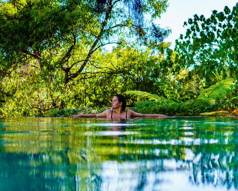 Rainbow Ocean Palms Resort - Accommodation Daintree 5