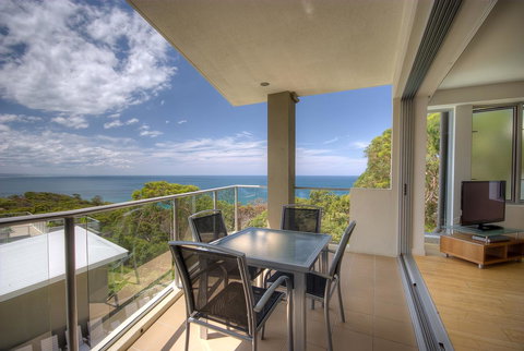 Rainbow Ocean Palms Resort - Accommodation Daintree 10