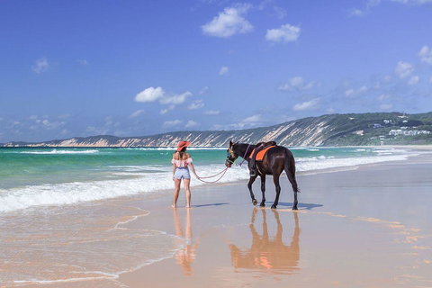 Salty Vibes Retreat - Accommodation Daintree 0