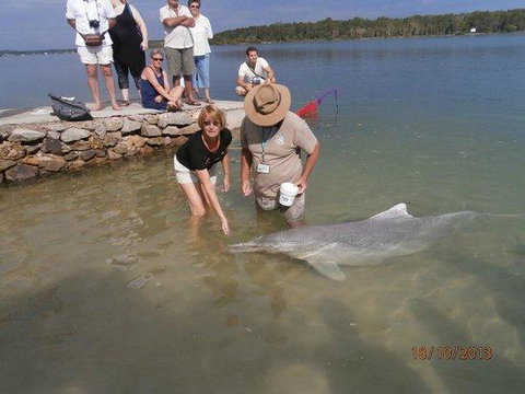 Salty Vibes Retreat - Accommodation Daintree 7