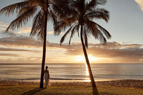 Sea Change Beachfront Apartments - Accommodation Daintree 2