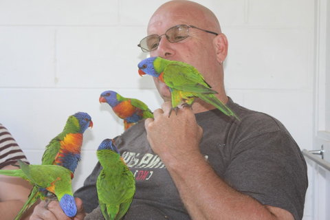 Amaroo On Mandalay, Magnetic Island - Accommodation Daintree 33