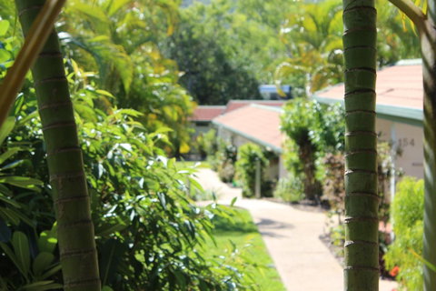 Amaroo On Mandalay, Magnetic Island - Accommodation Daintree 24