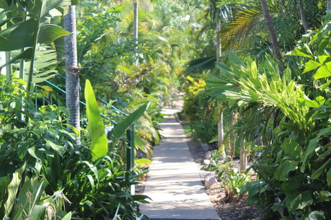 Amaroo On Mandalay, Magnetic Island - Accommodation Daintree 23
