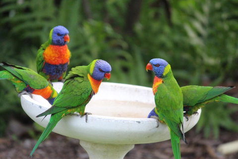 Amaroo On Mandalay, Magnetic Island - Accommodation Daintree 27