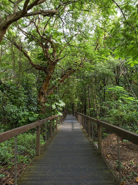 Hotel Grand Chancellor Palm Cove - Accommodation Daintree 29