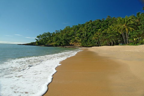 On The Beach Apartments - Accommodation Daintree 9