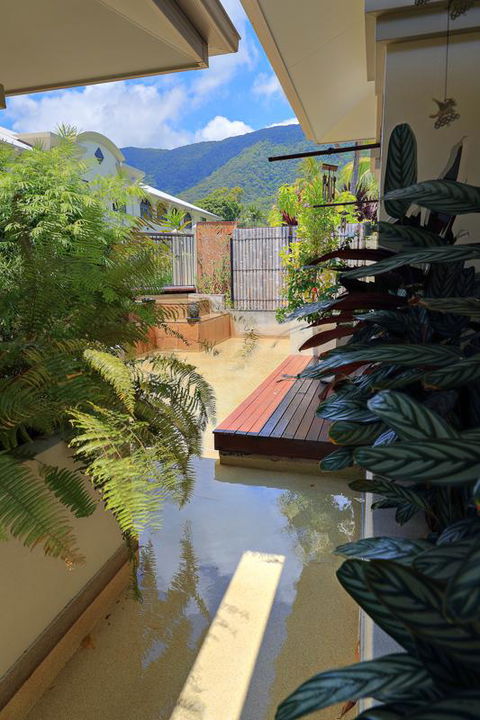 Mango Lagoon Sunbird Retreat - Accommodation Daintree 24