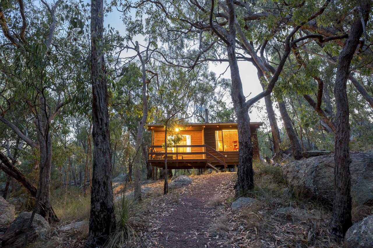  Accommodation Daintree