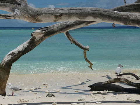 Beach Club Port Douglas Luxury Apartments - Accommodation Daintree 23