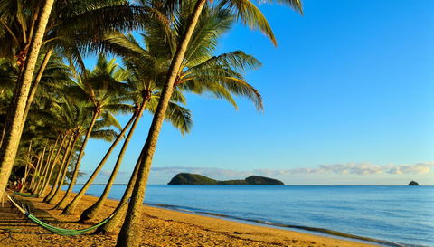 Mango Lagoon Resort & Wellness Spa - Accommodation Daintree 25