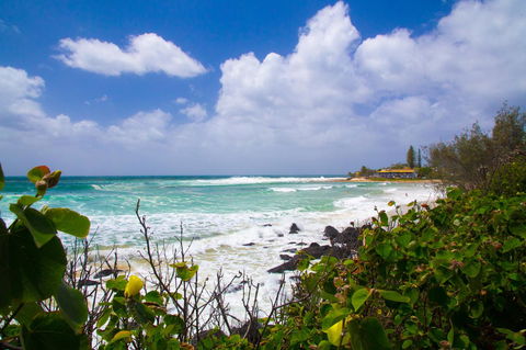 Rainbow Bay Backpackers - Accommodation Daintree 0