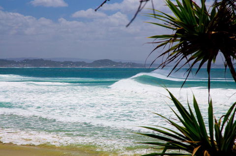 Rainbow Bay Backpackers - Accommodation Daintree 20