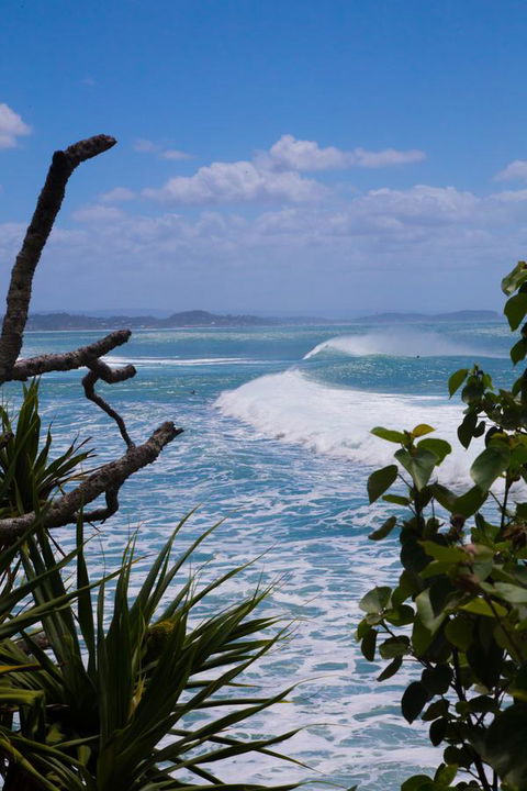 Rainbow Bay Backpackers - Accommodation Daintree 14