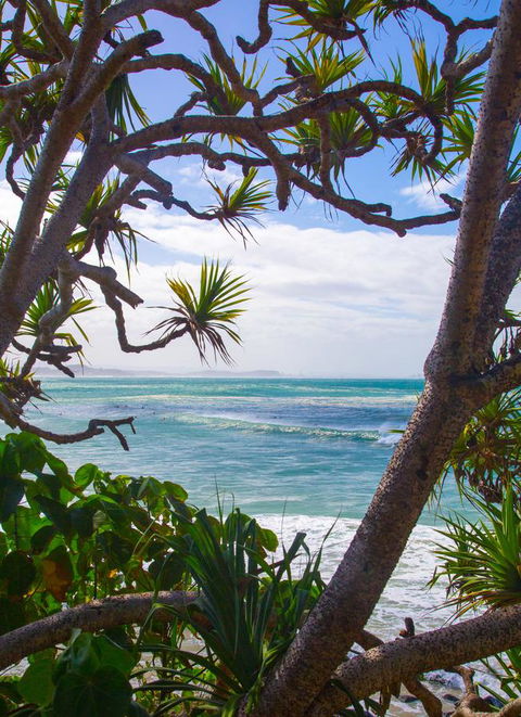 Rainbow Bay Backpackers - Accommodation Daintree 26