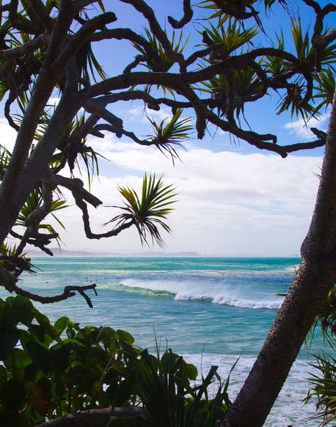 Rainbow Bay Backpackers - Accommodation Daintree 25