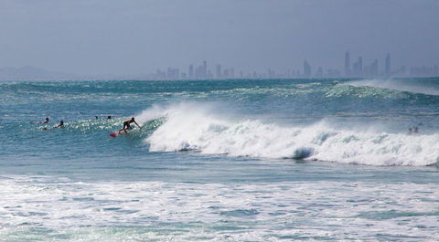 Rainbow Bay Backpackers - Accommodation Daintree 22