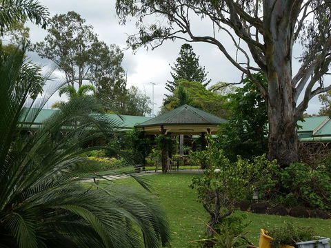 The Bearded Dragon Boutique Hotel - Accommodation Daintree 28