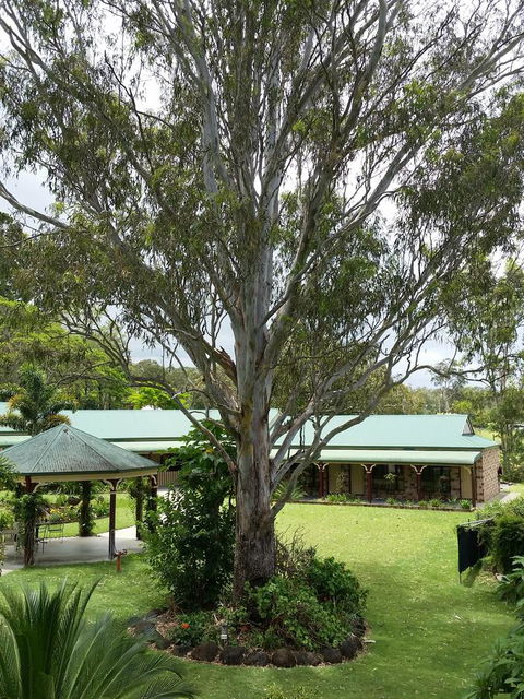 The Bearded Dragon Boutique Hotel - Accommodation Daintree 32