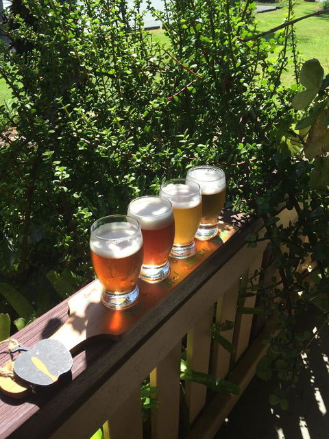 The Bearded Dragon Boutique Hotel - Accommodation Daintree 31
