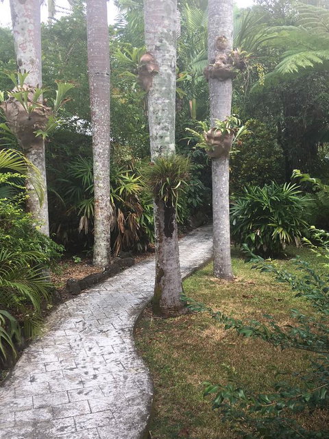 Eco Village Mission Beach - Accommodation Daintree 6