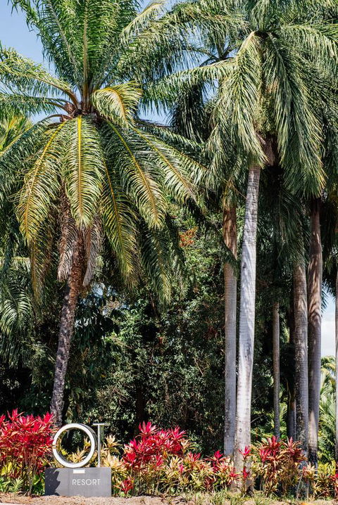 Oaks Port Douglas Resort - Accommodation Daintree 40