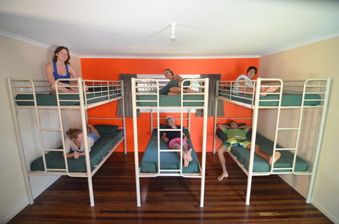 Backpackers In Paradise 18-35 Hostel - Accommodation Daintree 21