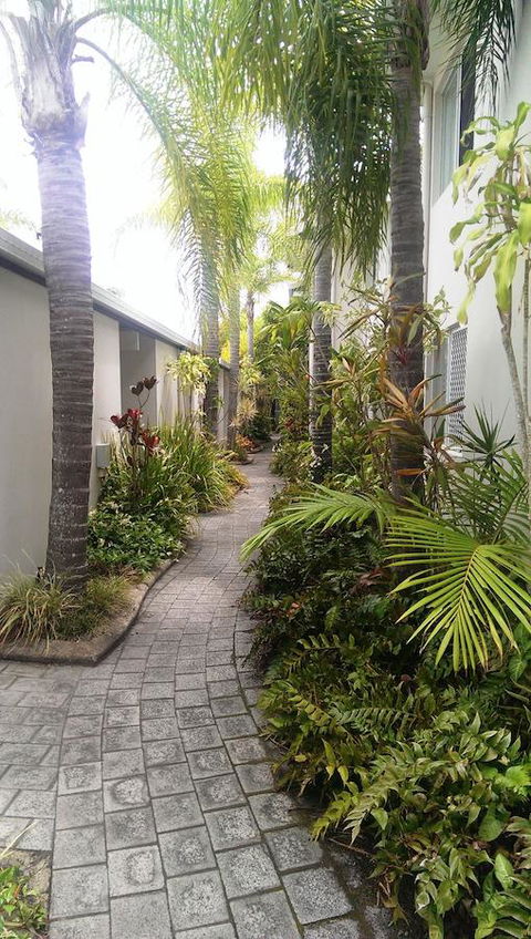 Skippers Cove Waterfront Resort - Accommodation Daintree 15