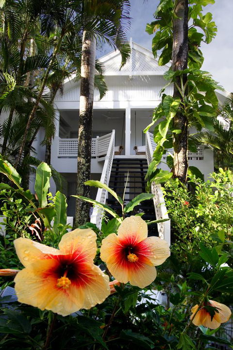 The Reef House Adults Retreat - Enjoy 28 Complimentary Inclusions - Accommodation Daintree 39