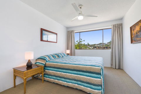 Alexandria Apartments - Accommodation Daintree 13