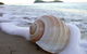 Argosy On The Beach - thumb 18