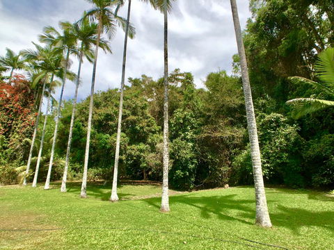 Argosy On The Beach - Accommodation Daintree 13