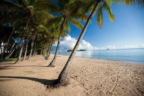 Sarayi Boutique Hotel - Accommodation Daintree 7