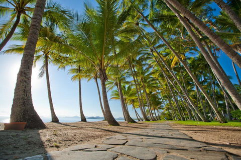 Sarayi Boutique Hotel - Accommodation Daintree 8