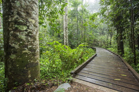 Riviera Mackay - Accommodation Daintree 25