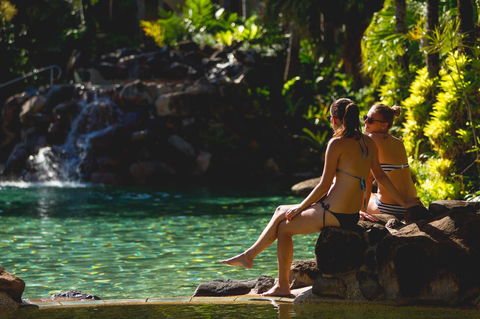 Palm Royale Cairns - Accommodation Daintree 19