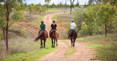 Ironbark House - Accommodation Daintree 22
