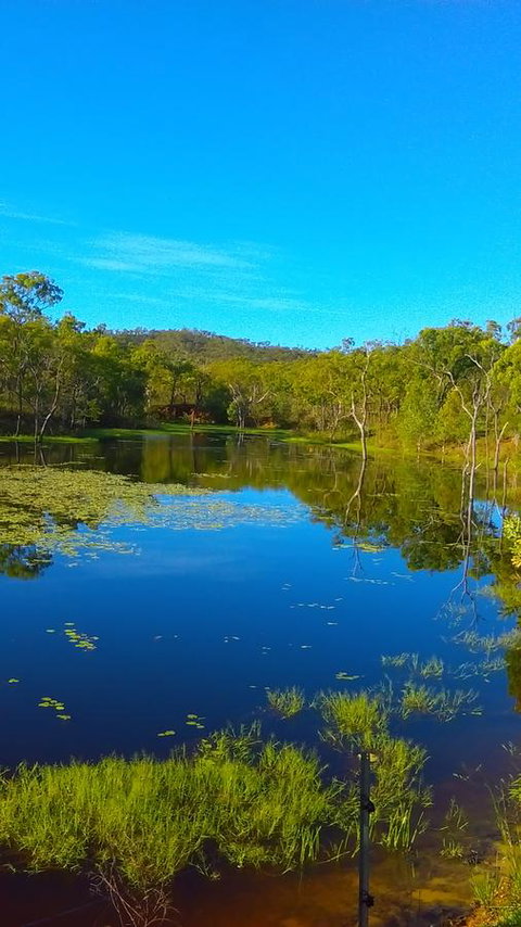 Ironbark House - Accommodation Daintree 21