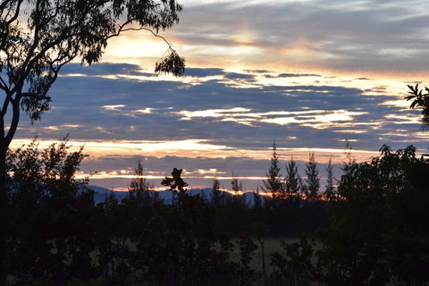 Ironbark House - Accommodation Daintree 40