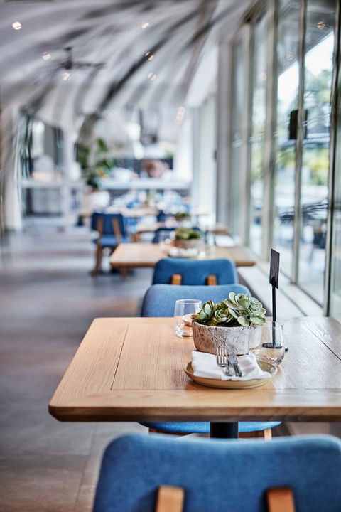 Novotel Cairns Oasis Resort - Accommodation Daintree 19