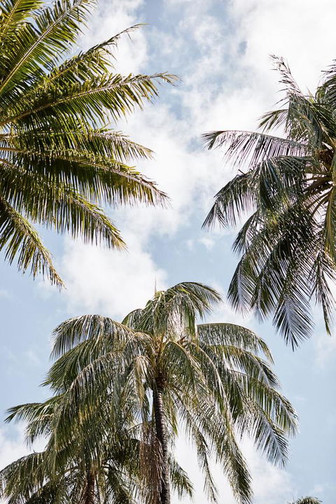 Novotel Cairns Oasis Resort - Accommodation Daintree 9
