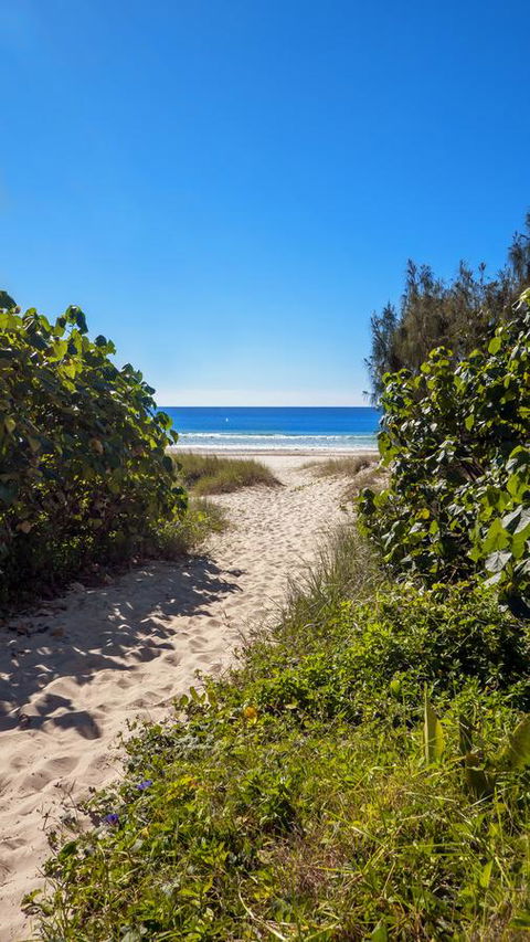 Bilinga Beach Motel - Accommodation Daintree 26