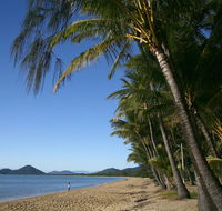 BeachView Apartments at Villa Paradiso - Accommodation Daintree