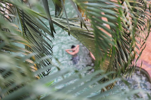 Coral Tree Inn - Accommodation Daintree 36