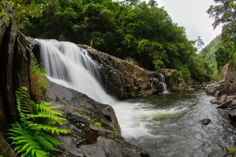 Coral Tree Inn - Accommodation Daintree 40