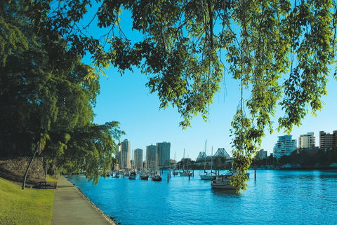 Oaks Brisbane River City Suites - Accommodation Daintree 15