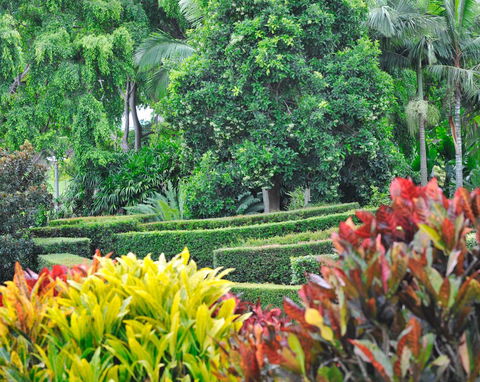 Soho Brisbane - Accommodation Daintree 3