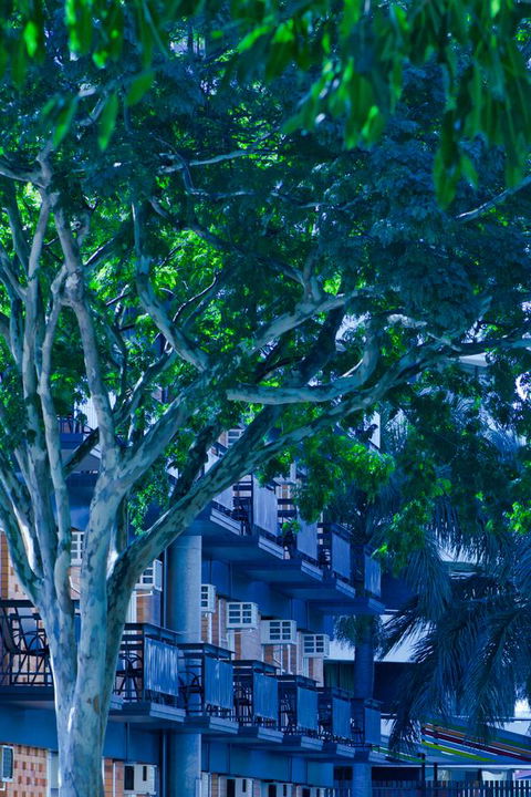Soho Brisbane - Accommodation Daintree 12