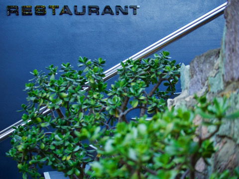 Soho Brisbane - Accommodation Daintree 22